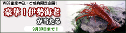 �ɐ��C�V�܂�