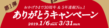 おかげ様で30周年&5年連続No.1 第1弾 ありがとうキャンペーン