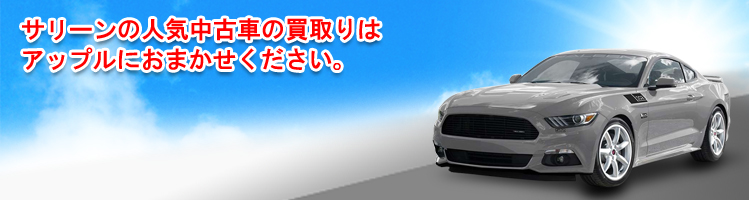 サリーンの買取車種一覧