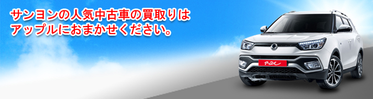 サンヨンの買取車種一覧