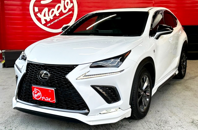 lexus_NX300_img