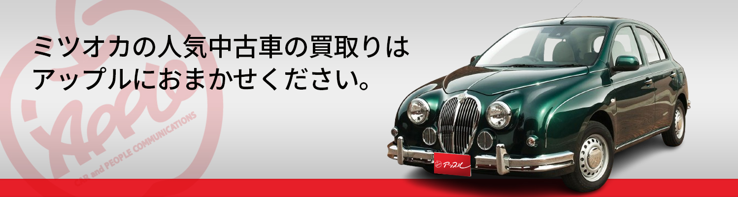ミツオカの買取車種一覧