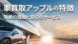 info車買取アップルの特徴