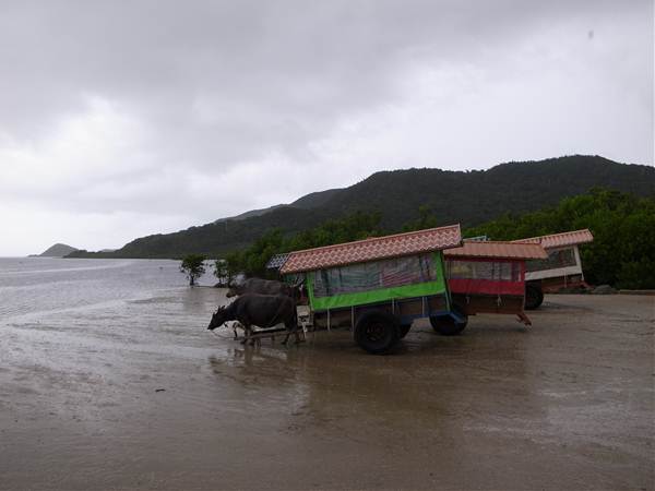 海をも渡れる、頼れる牛車たち