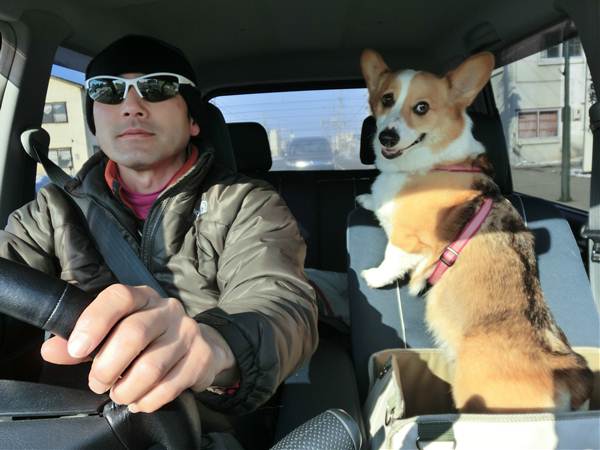 drive