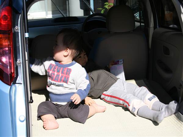 小さな車の小さな住人