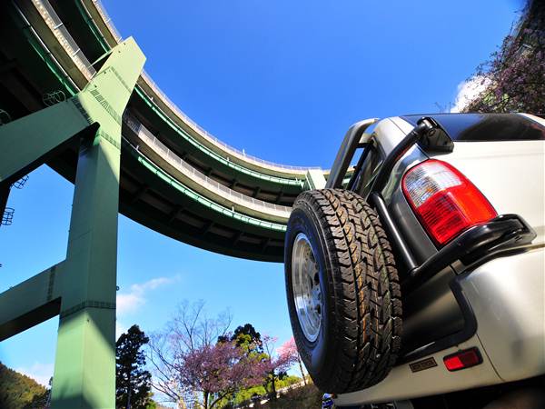 車とお花見