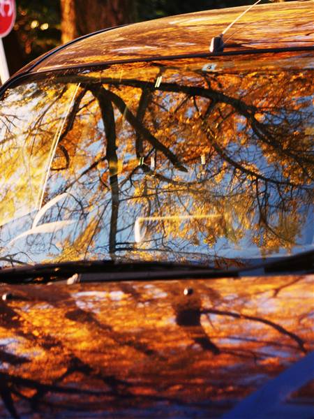 車も一緒に紅葉狩り