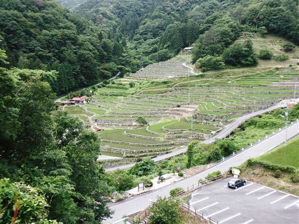 愛車と棚田