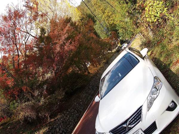 紅葉と愛車
