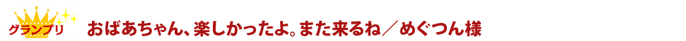 グランプリ　おばあちゃん、楽しかったよ。また来るね/めぐつん様