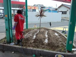 中古車販売 中古車買取 アップル