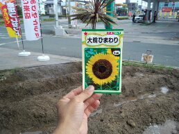 中古車販売 中古車買取 アップル