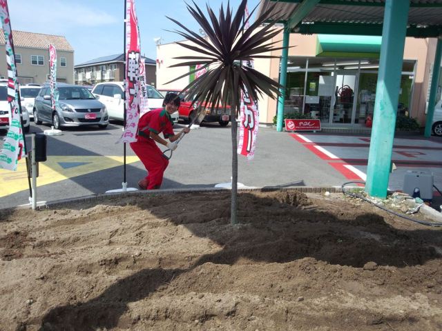 中古車販売 中古車買取 アップル