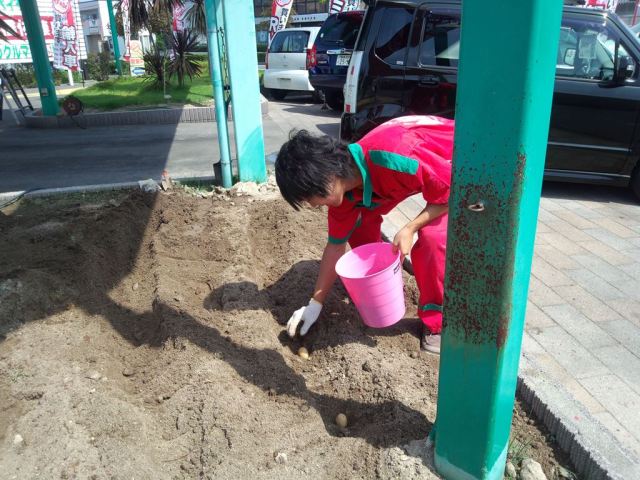 中古車販売 中古車買取 アップル