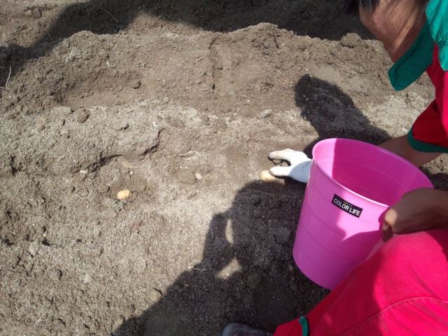 中古車販売 中古車買取 アップル