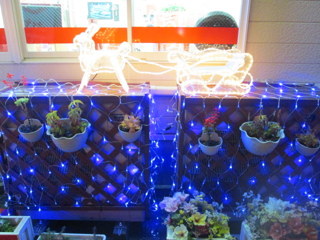 中古車販売 中古車買取 アップル