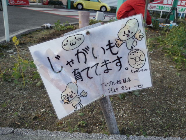 中古車販売 中古車買取 アップル