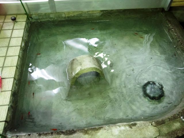 中古車販売 中古車買取 アップル