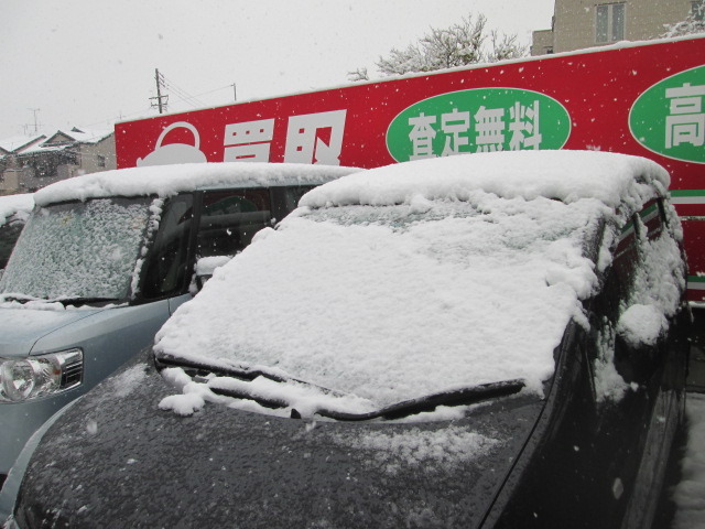 中古車販売 中古車買取 アップル