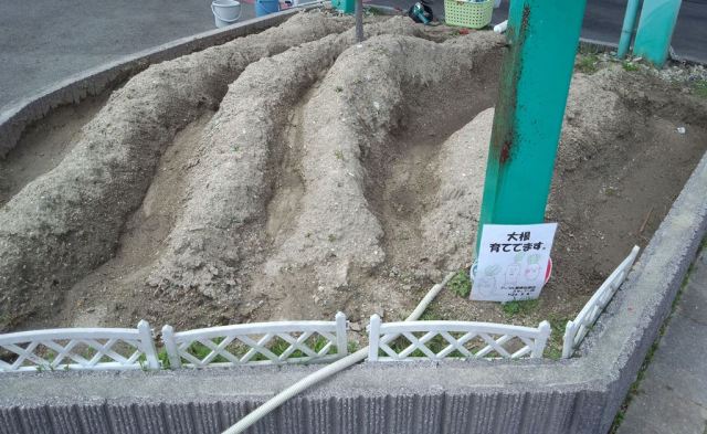 中古車販売 中古車買取 アップル