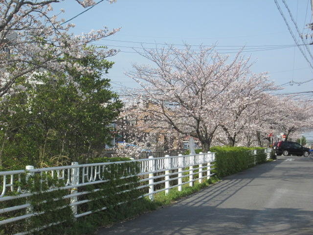 中古車販売 中古車買取 アップル