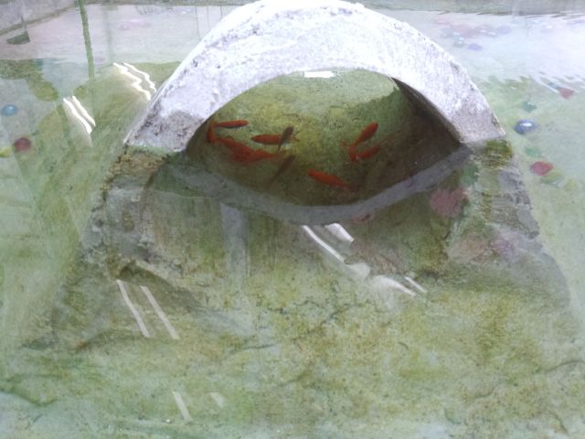 中古車販売 中古車買取 アップル