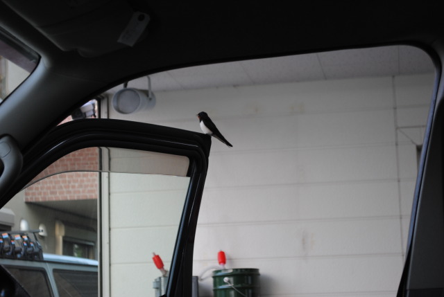 中古車販売 中古車買取 アップル