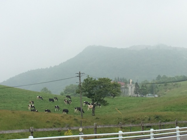 中古車販売 中古車買取 アップル