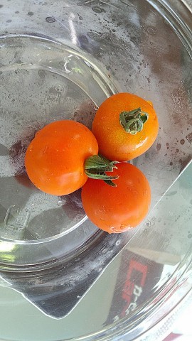 中古車販売 中古車買取 アップル