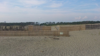 中古車販売 中古車買取 アップル