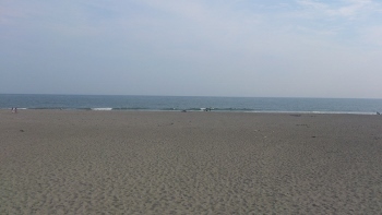 中古車販売 中古車買取 アップル