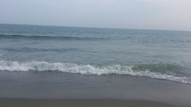 中古車販売 中古車買取 アップル