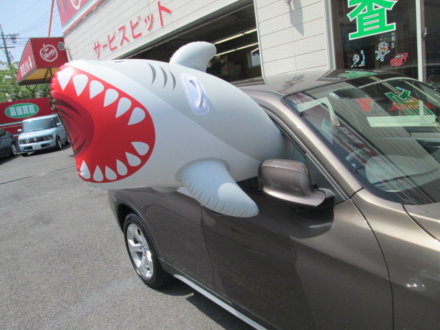 中古車販売 中古車買取 アップル