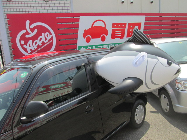 中古車販売 中古車買取 アップル