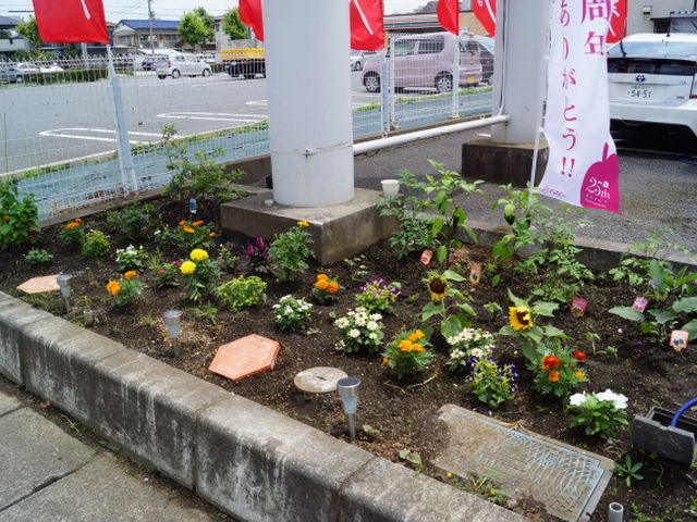 中古車販売 中古車買取 アップル