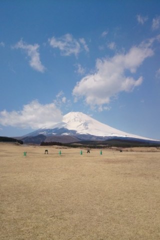 中古車販売 中古車買取 アップル