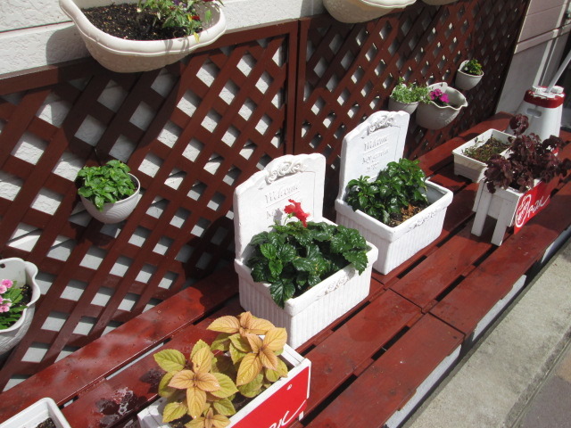 中古車販売 中古車買取 アップル