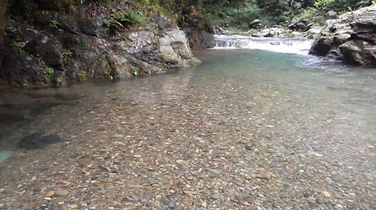 中古車販売 中古車買取 アップル