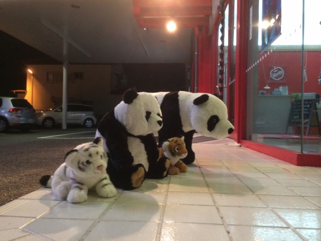 中古車販売 中古車買取 アップル