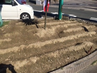 中古車販売 中古車買取 アップル