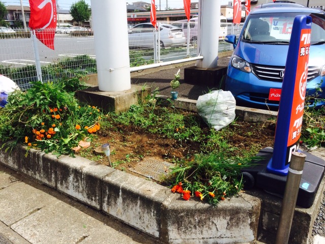 中古車販売 中古車買取 アップル