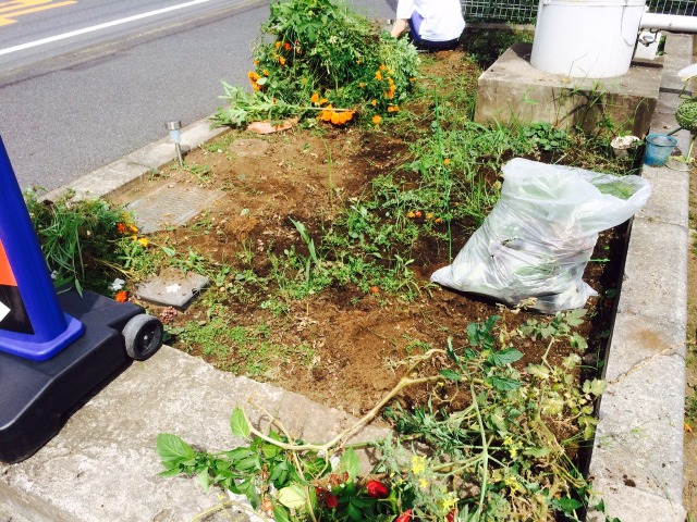 中古車販売 中古車買取 アップル