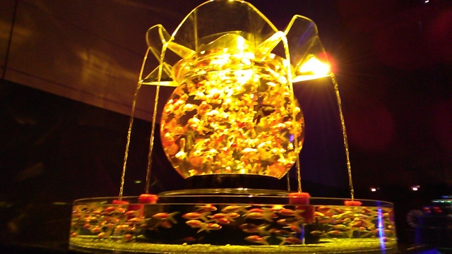 中古車販売 中古車買取 アップル