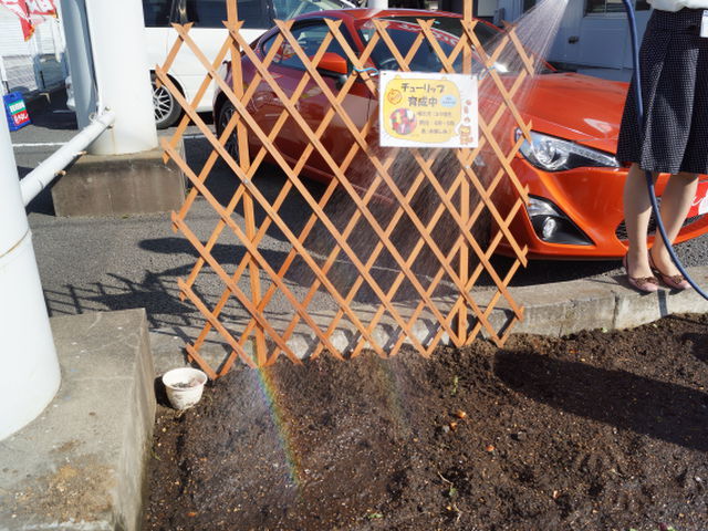 中古車販売 中古車買取 アップル