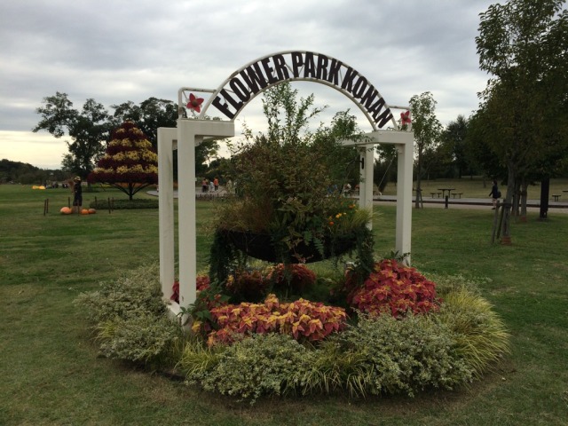 中古車販売 中古車買取 アップル