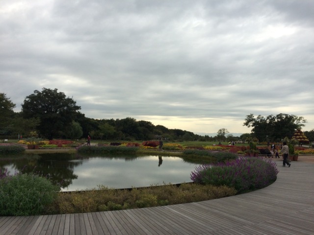 中古車販売 中古車買取 アップル