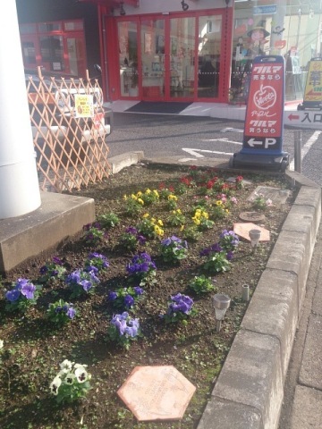 中古車販売 中古車買取 アップル