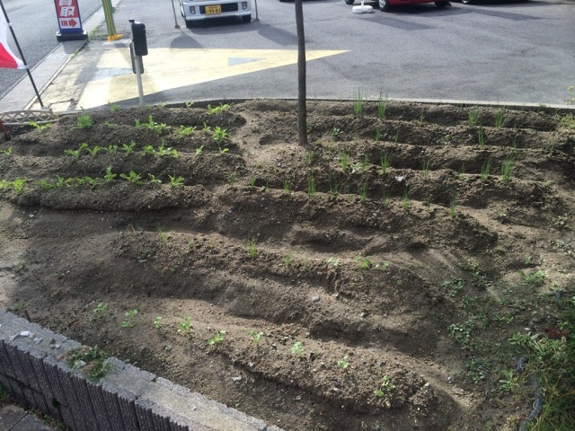 中古車販売 中古車買取 アップル