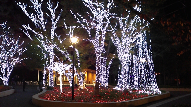 中古車販売 中古車買取 アップル